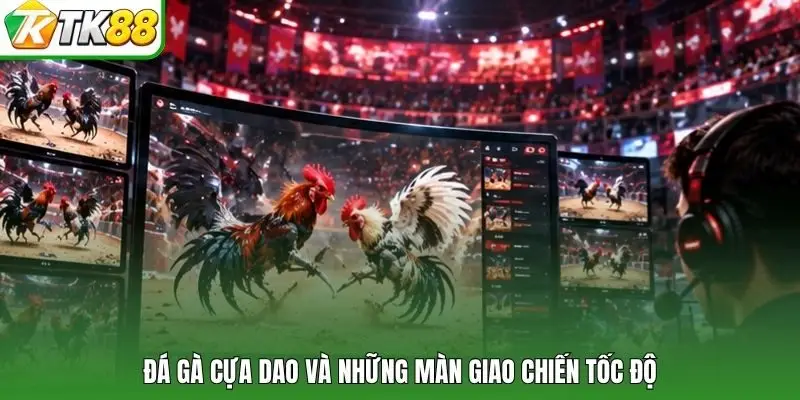 Đá gà cựa dao và những màn giao chiến tốc độ