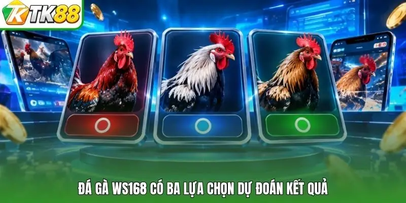 Đá gà WS168 có ba lựa chọn dự đoán kết quả